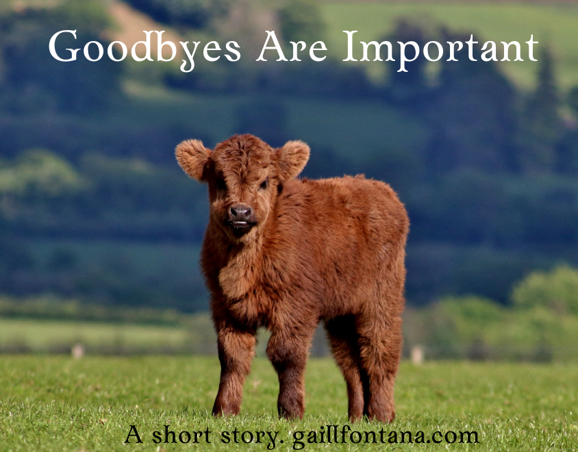Goodbyes are important short story