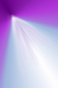 No Place for Wallflowers