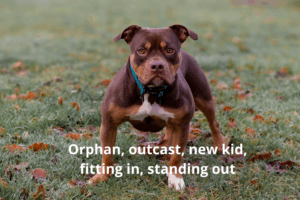 How to Level-Up Your Writing